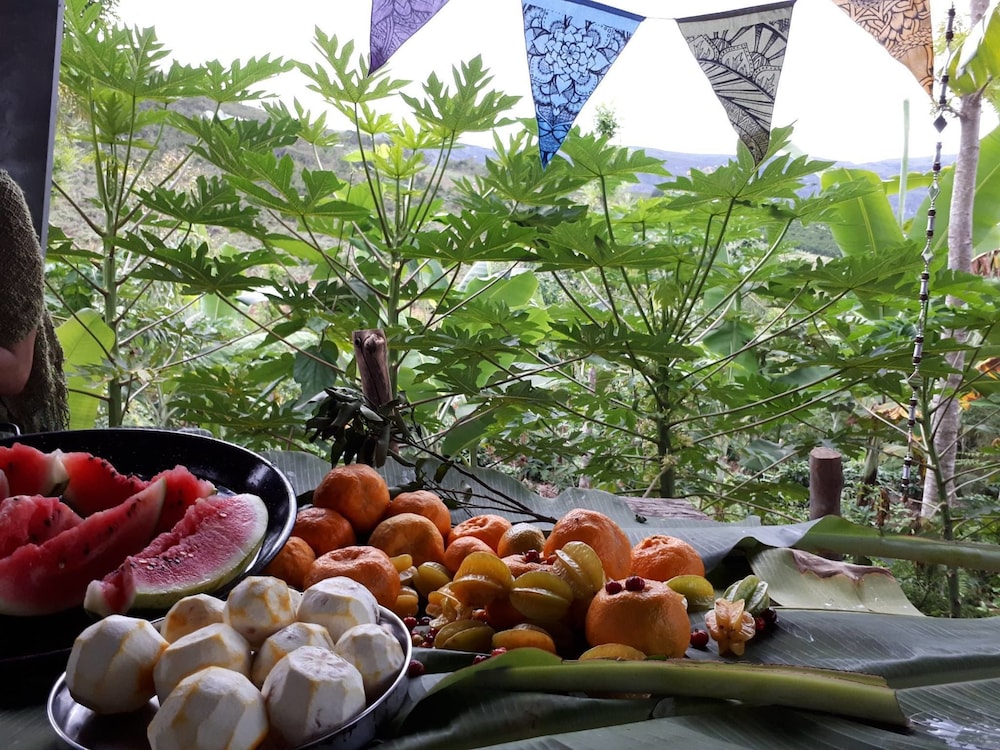 Sitio Monte Alegre - Hostel