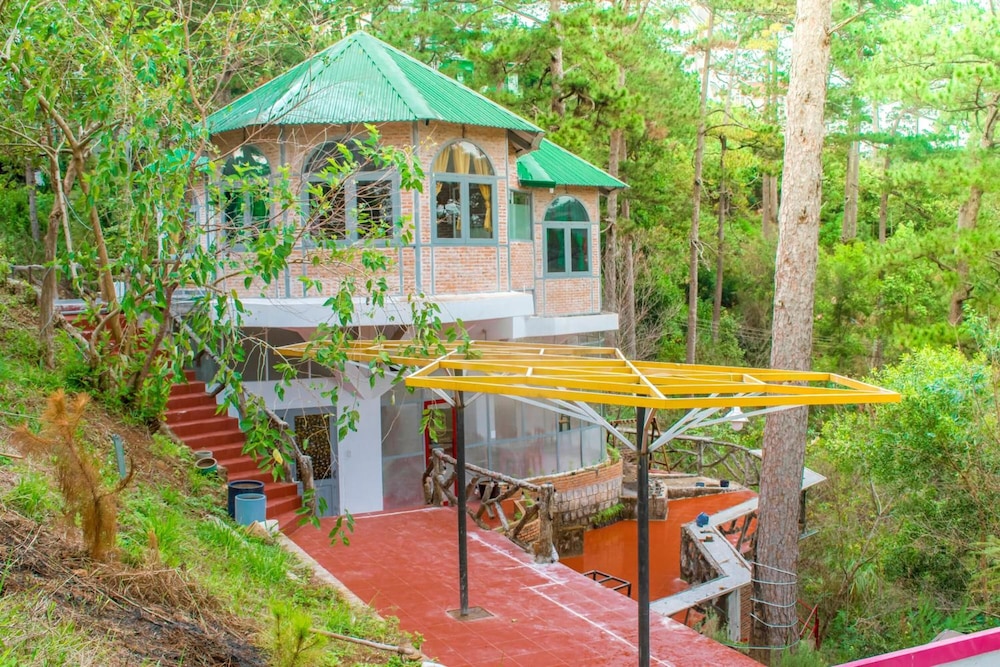 Maple Hostel