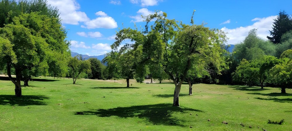 Esaki Farm Near El Bolson