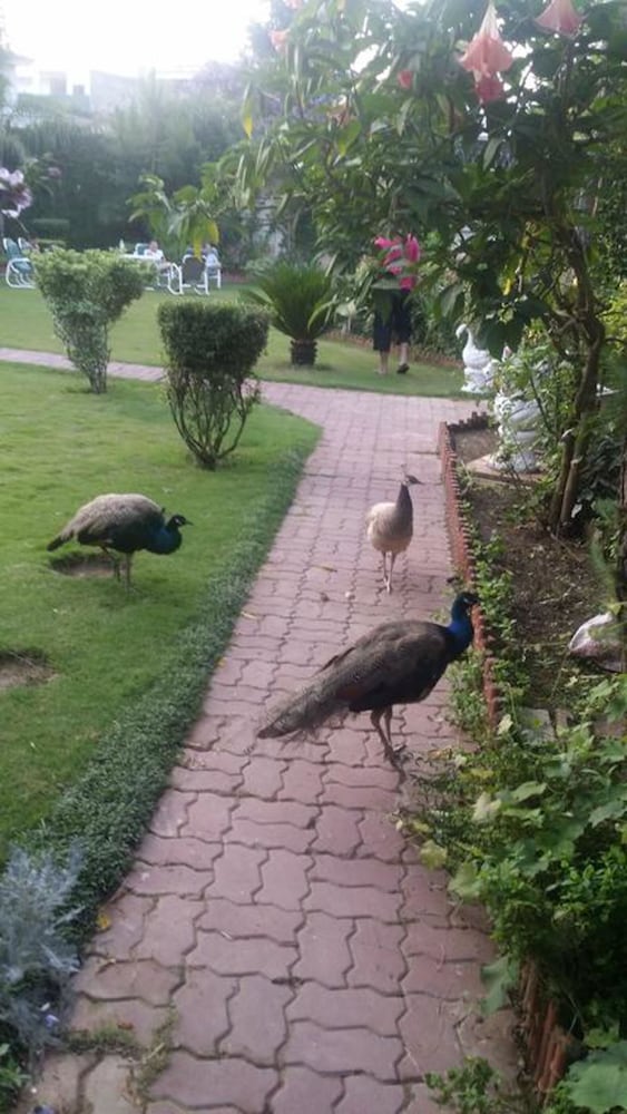 Alaf Laila Guest House
