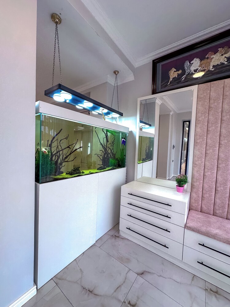 Central Vip Villa