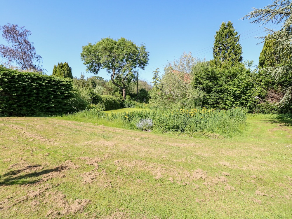 The Duck House
