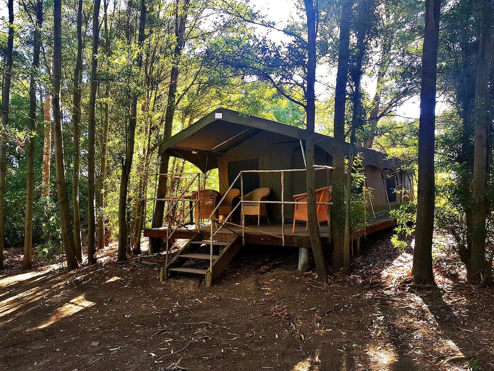 Tri Active Lodge
