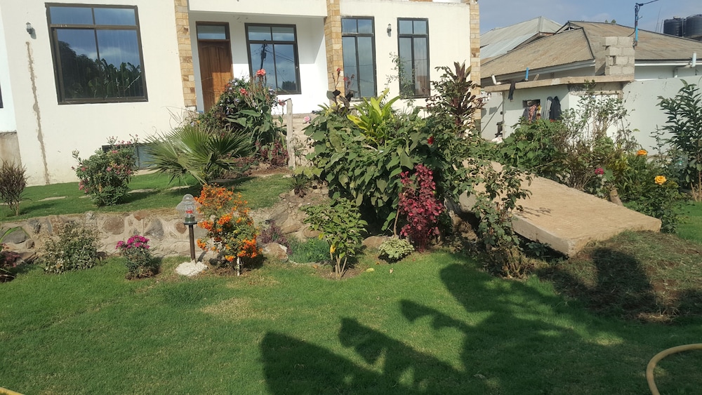 Photo 15