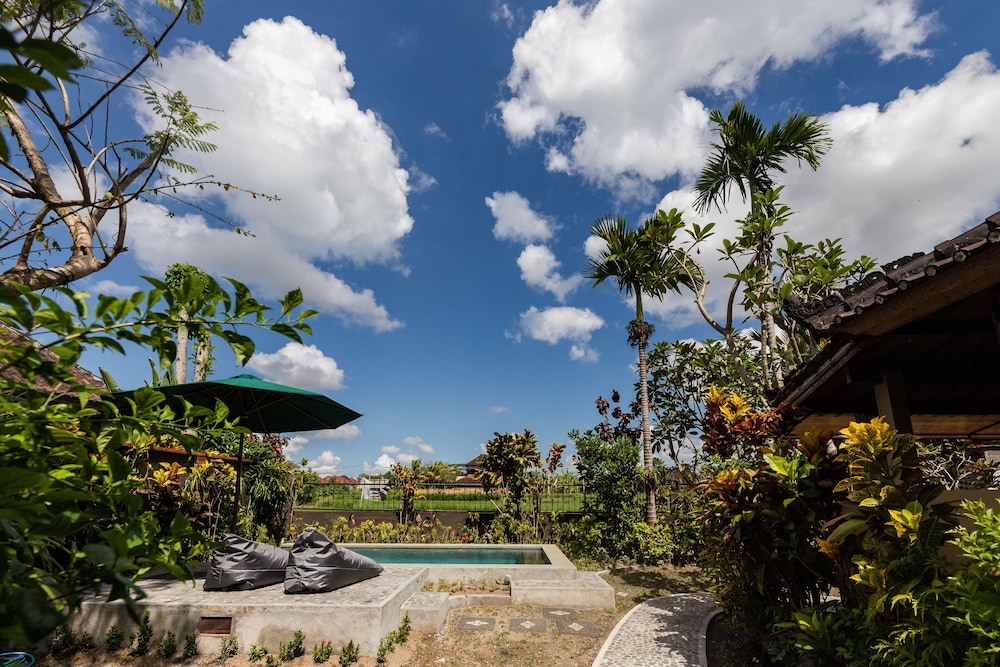 Devi's Place