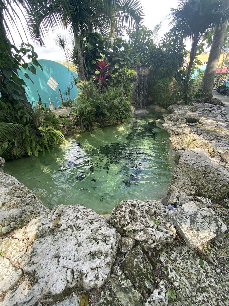 Hoosville Hostel