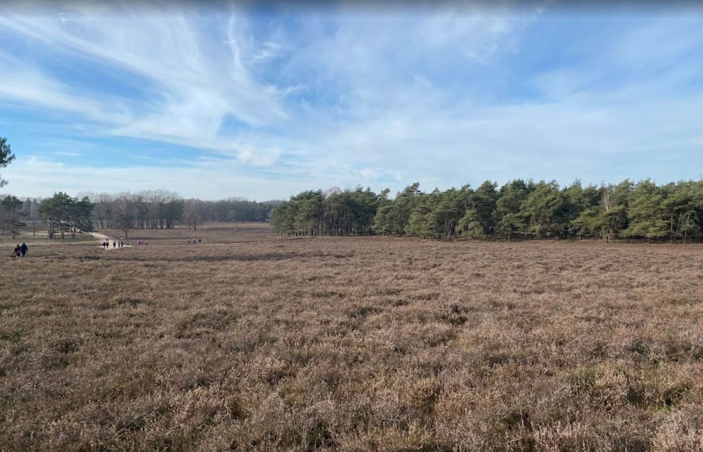 Nice Holiday Home in Hattemerbroek