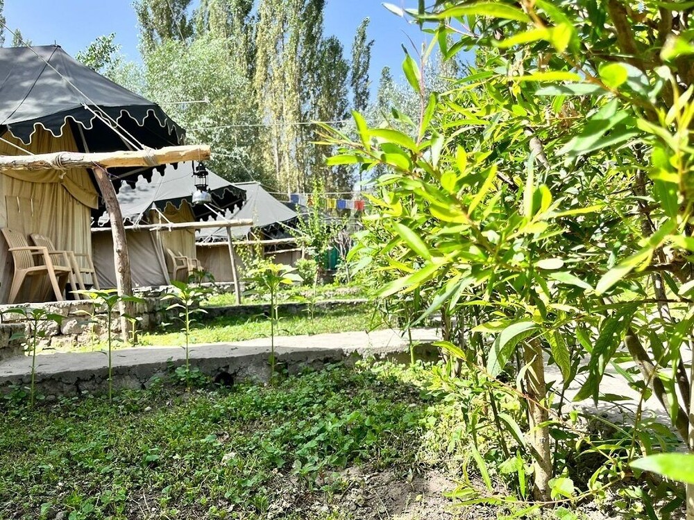 Photo 9