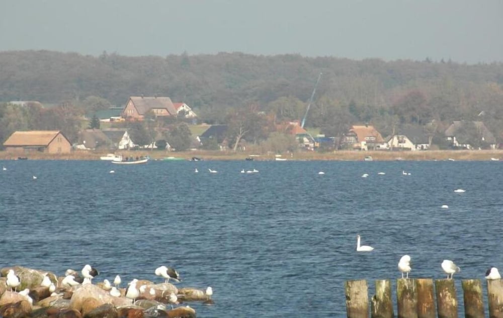 Pension Deichgraf