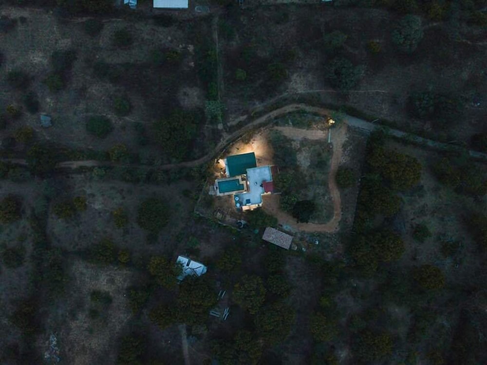 Forestville Yala
