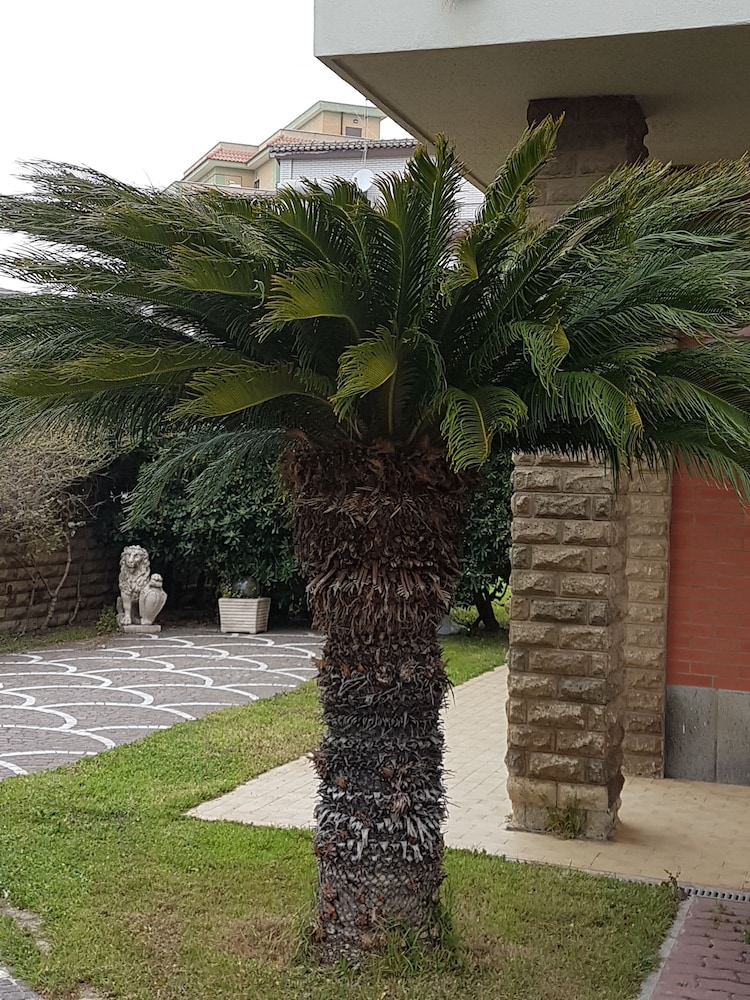 Myricae guest house - Fiumicino aeroporto