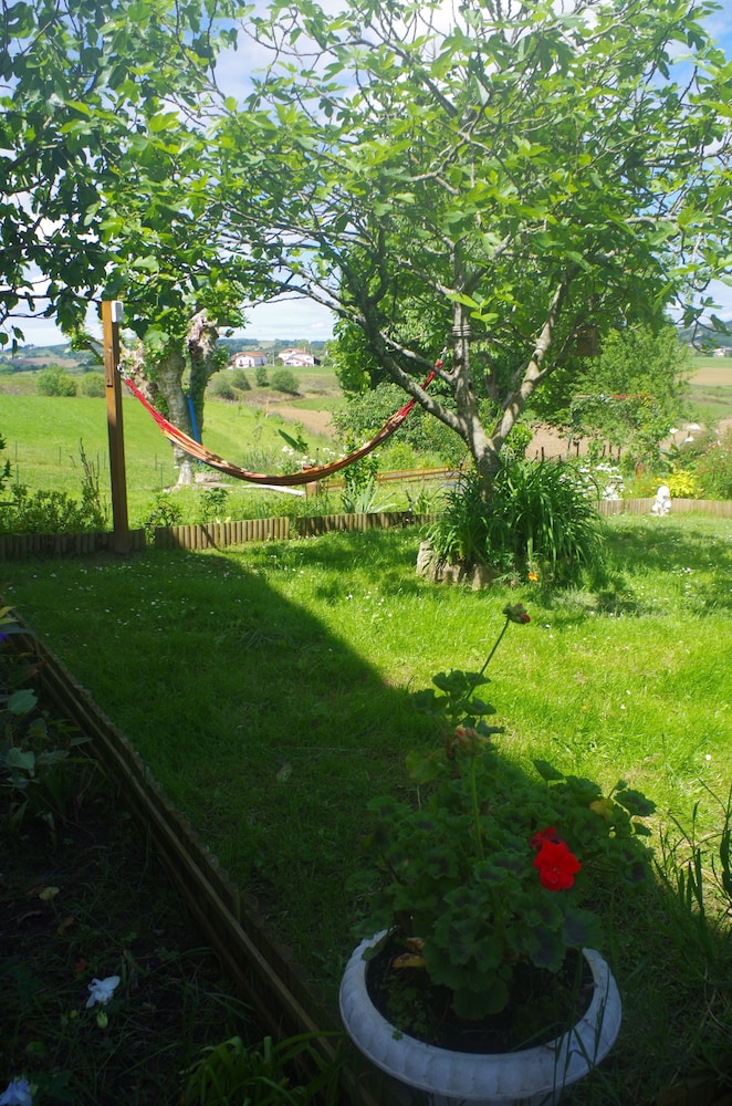 Photo 34