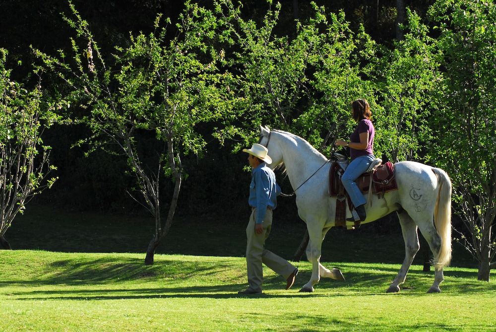 Sierra Lago Resort  Spa - All inclusive - Property Image 59