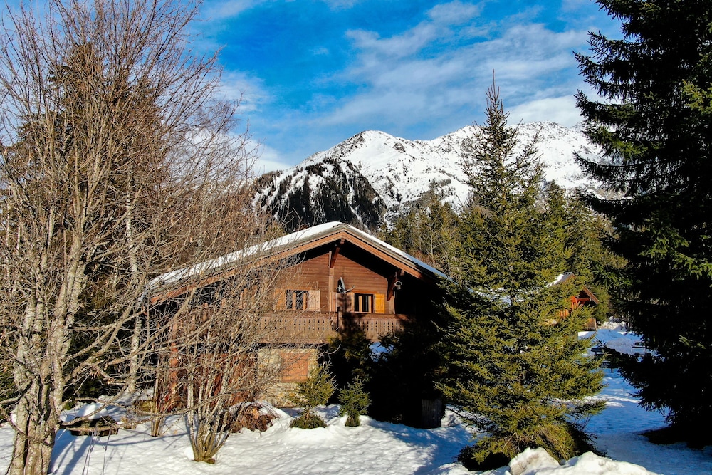 Apt Grands Montets ski in ski out