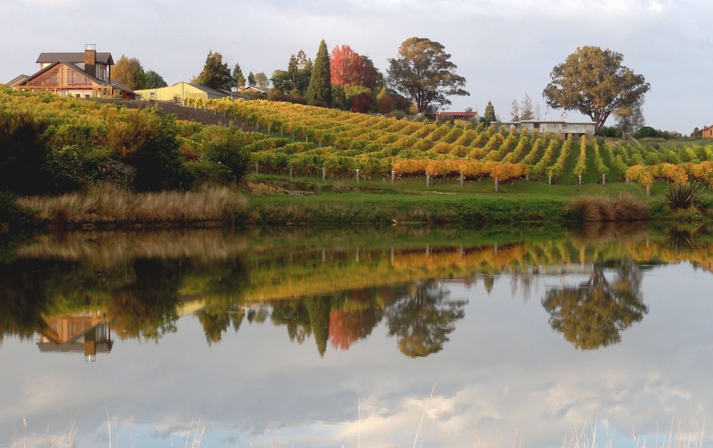 Hotel Pine Hill Lodge - Image 1