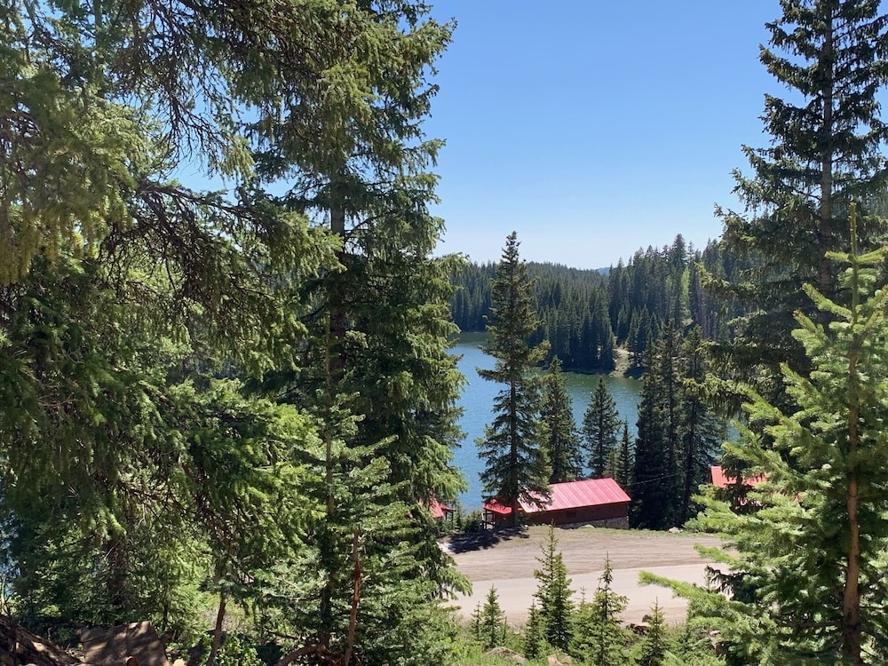 Alexander lake lodge - Property Image 70