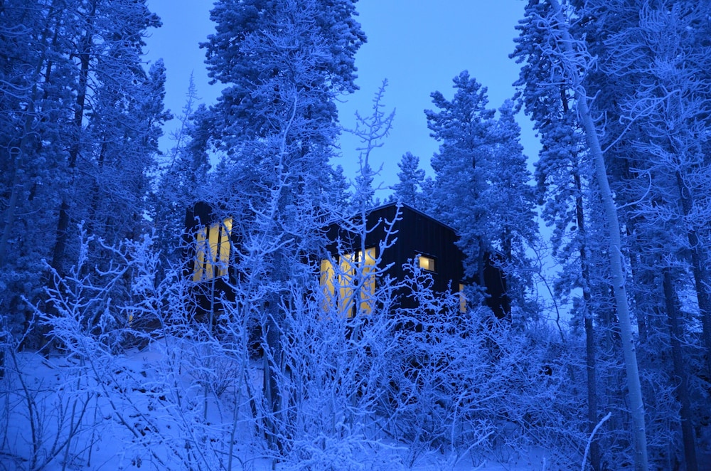 Yukon Black Spruce view 5