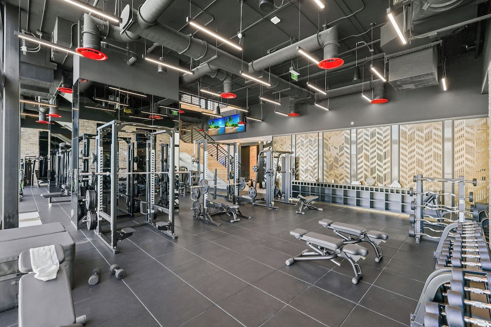 The Elser by Andes STR