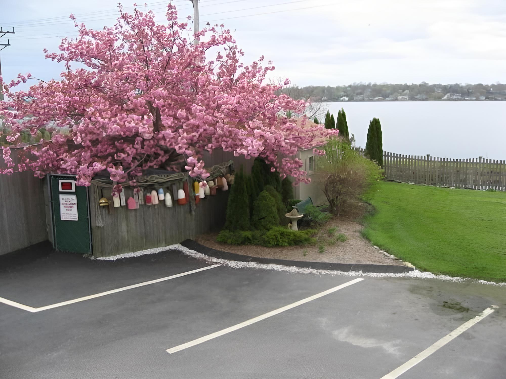 Sea Whale Motel - Property Image 22