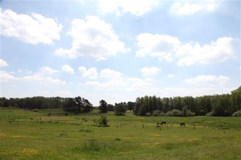 Ferienhaus am Garder See Inselblick