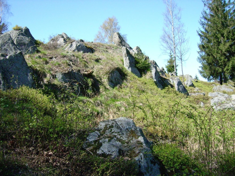 Photo 45