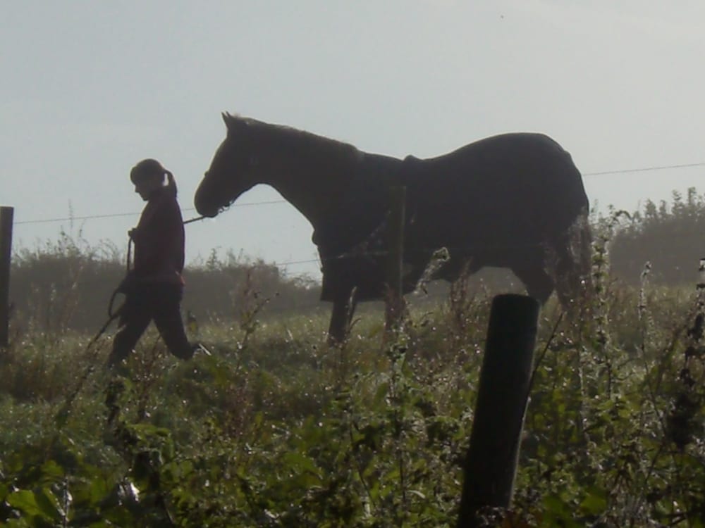 Looe Vacations - Polean Farm Cottages - Property Image 68
