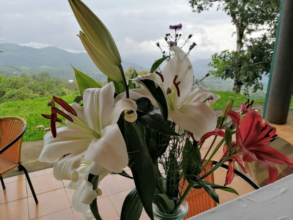 Vista Valverde Pacific View Rentals