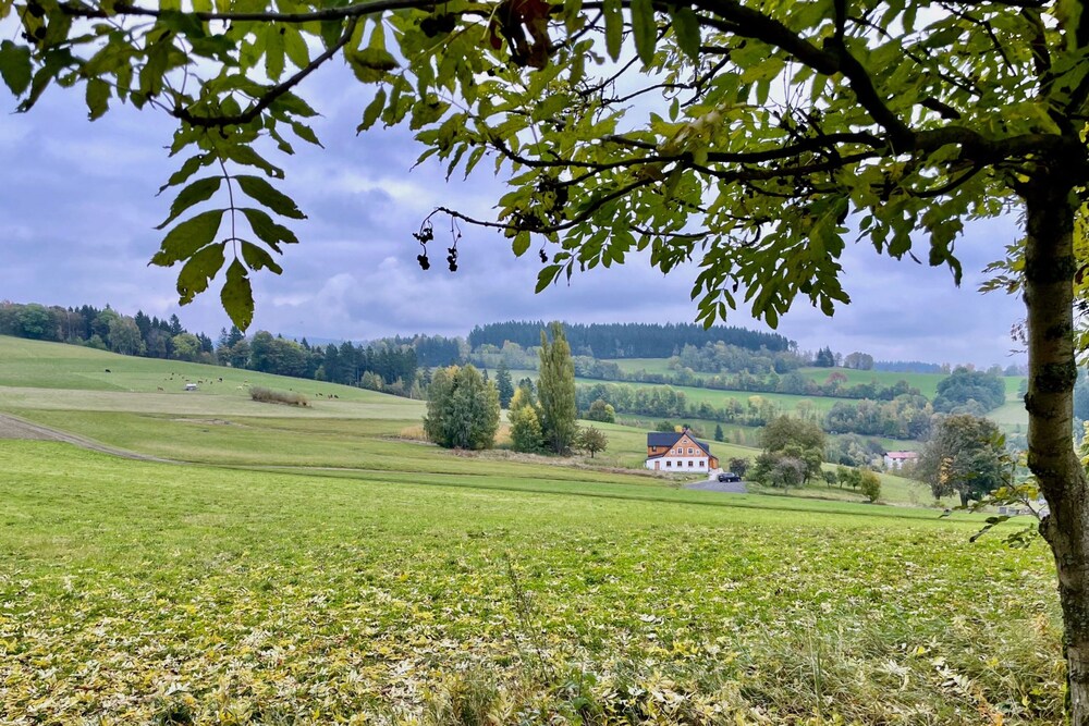 V Chov nad Jizerou Lvv033