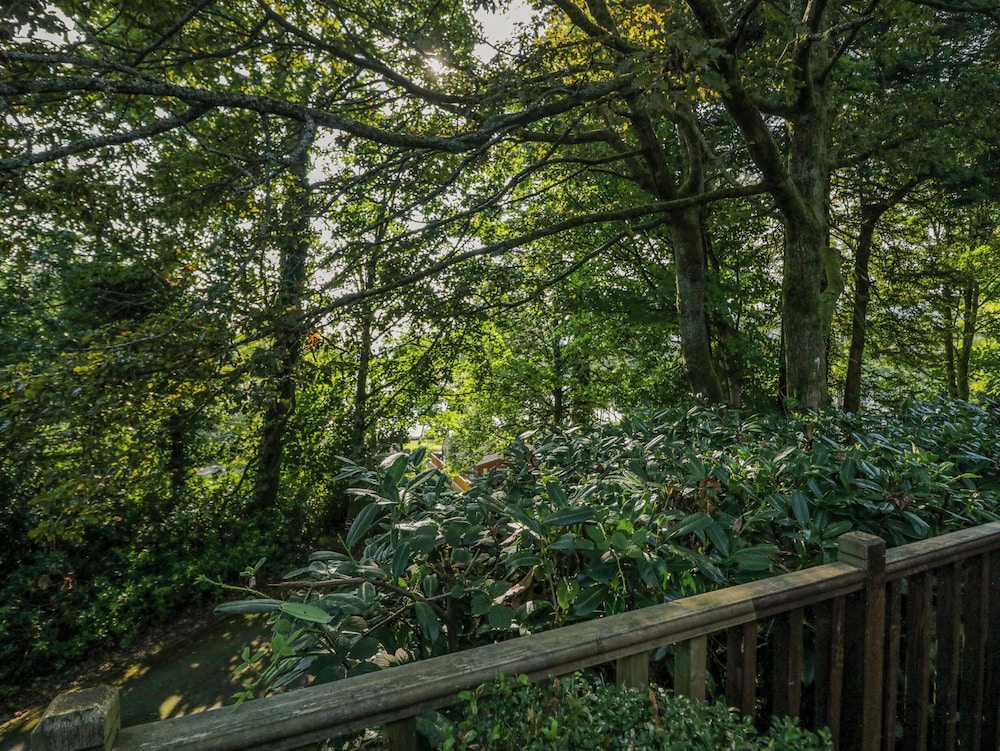 Tree House, Partial Lake Views