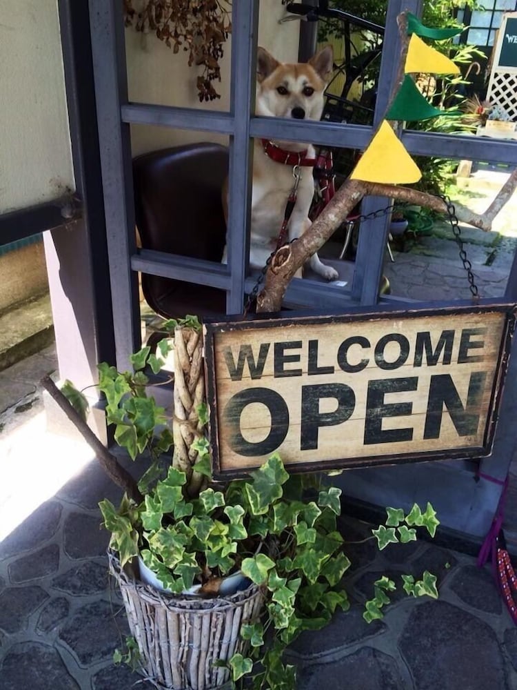 Yasuragi Guest House & Bar