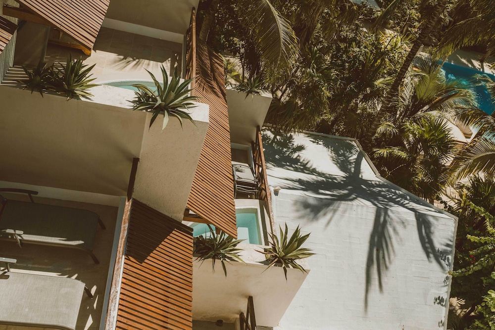 Jashita Hotel - Property Image 103