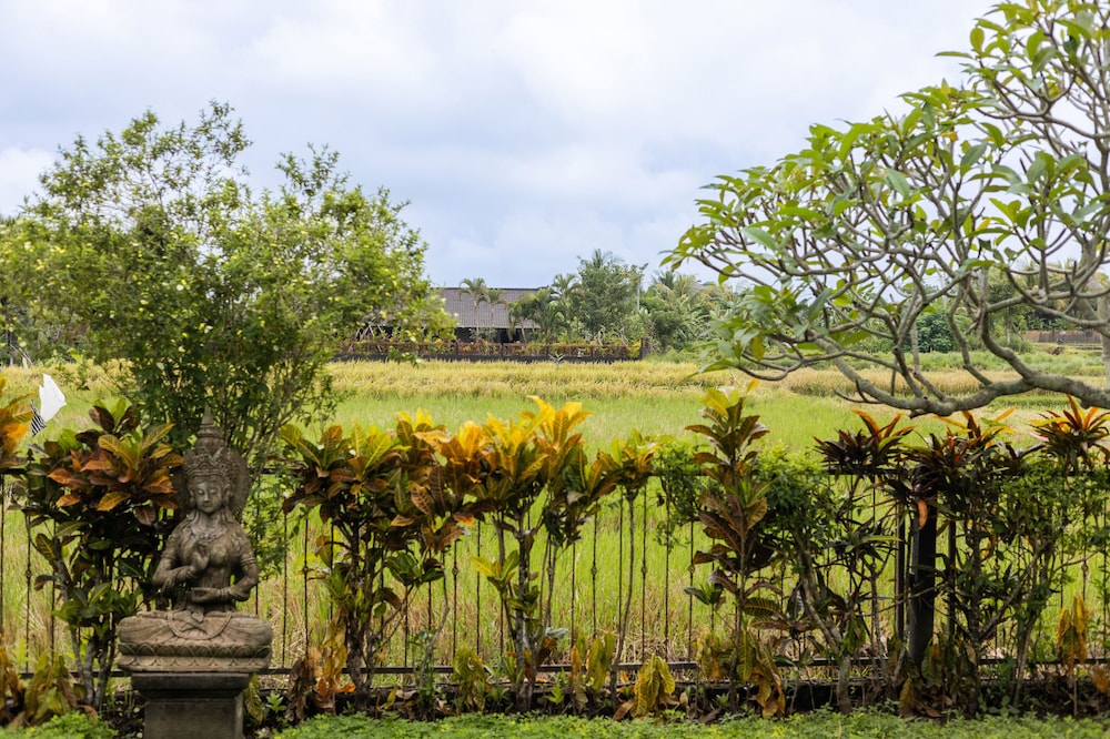 Devi's Place