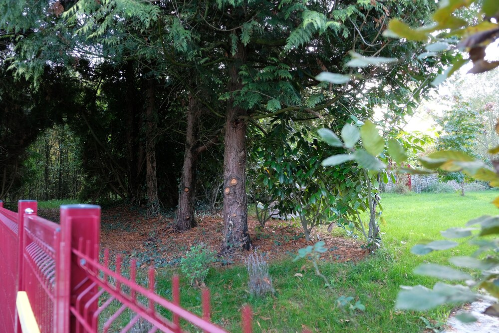 Photo 46
