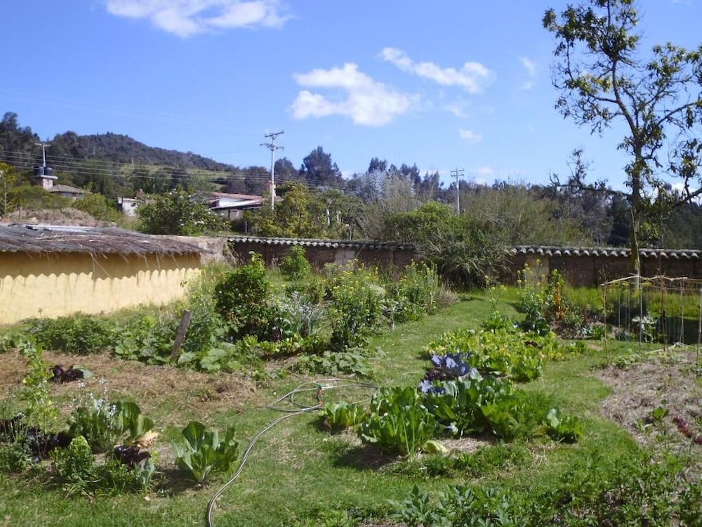 La Juanita Finca Verde