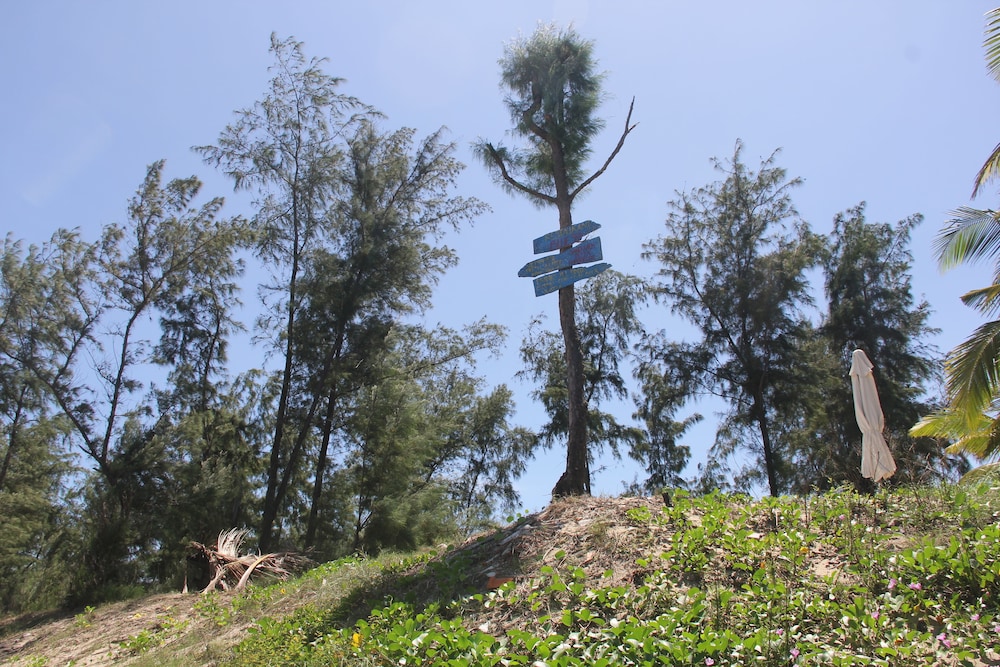 An Bang Vera Homestay