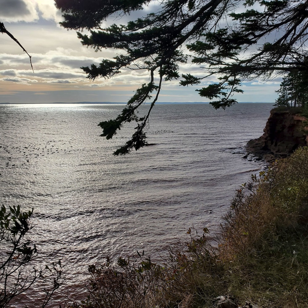 The Cliffside Inn