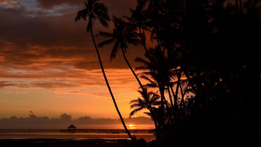 Fijian Oasis - view 17