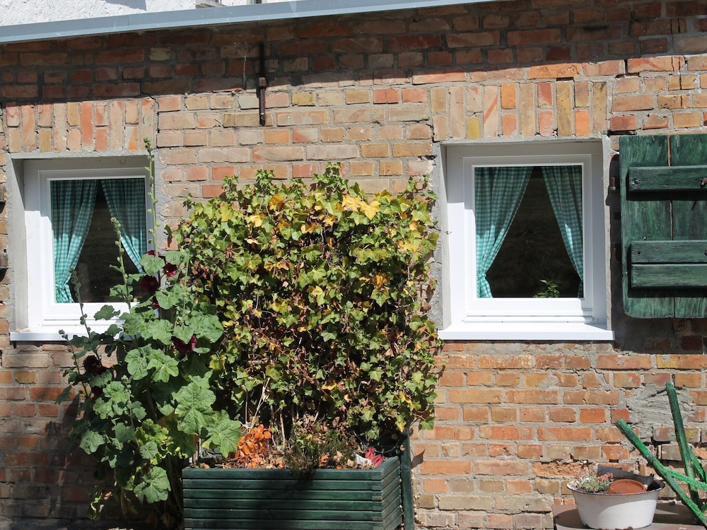 Beautiful Apartment in Damgarten With Garden
