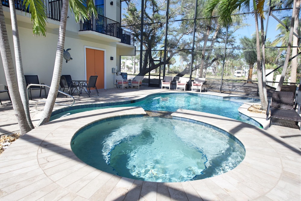 Sabal Palms