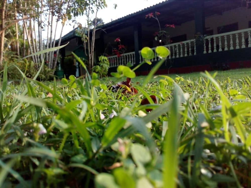 Lizzie Villa Guest House