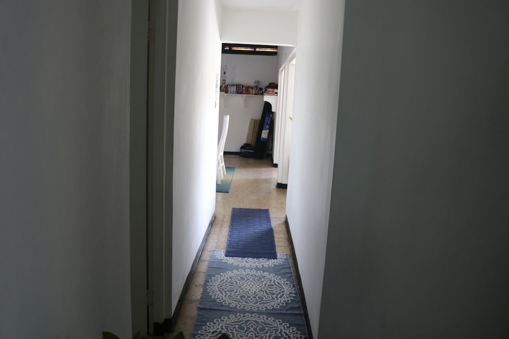 Beach Palm Villa, photo 56