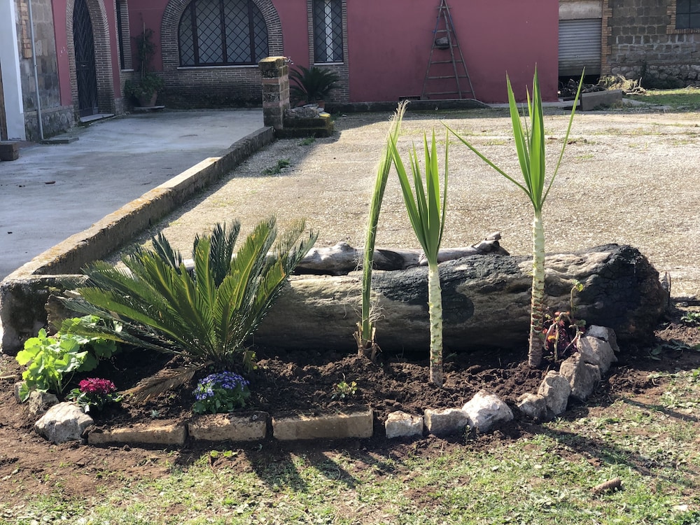 Photo 17