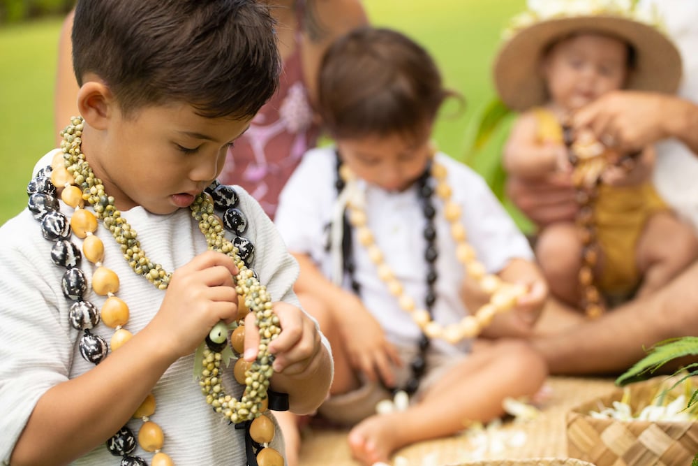 Fairmont Orchid - Property Image 159