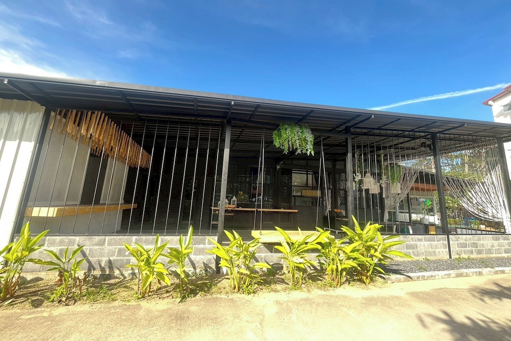 Lazy Lizard Hostel
