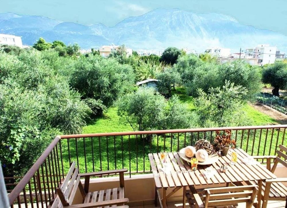 Amalia s Serendipity City Lights Mountain Vistas