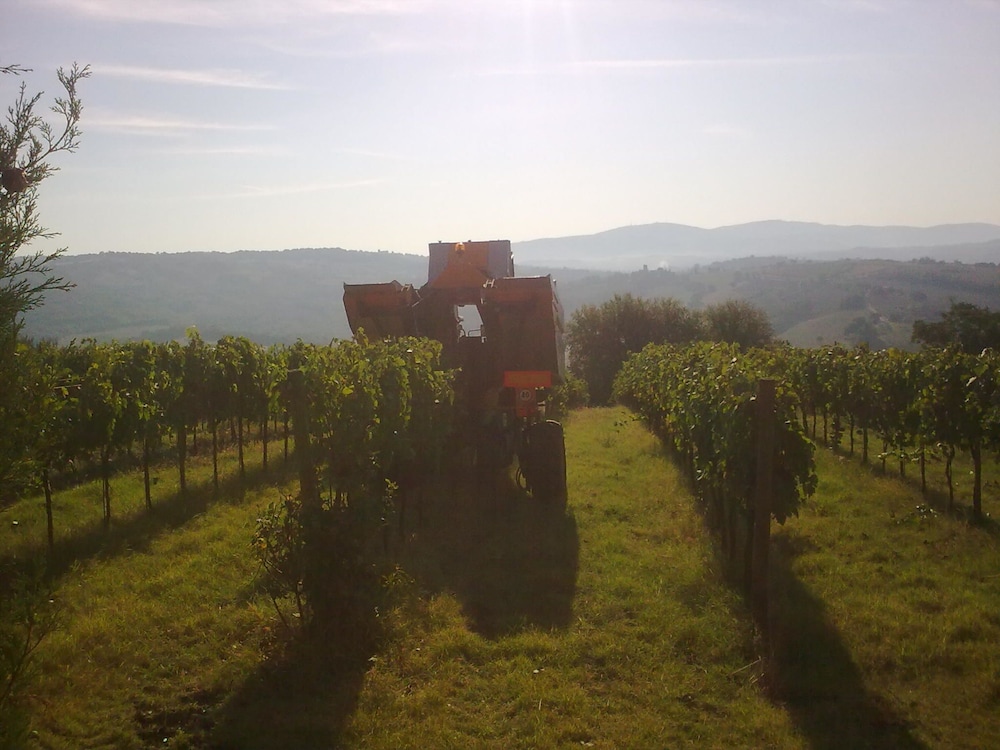 Agriturismo Il Borghetto