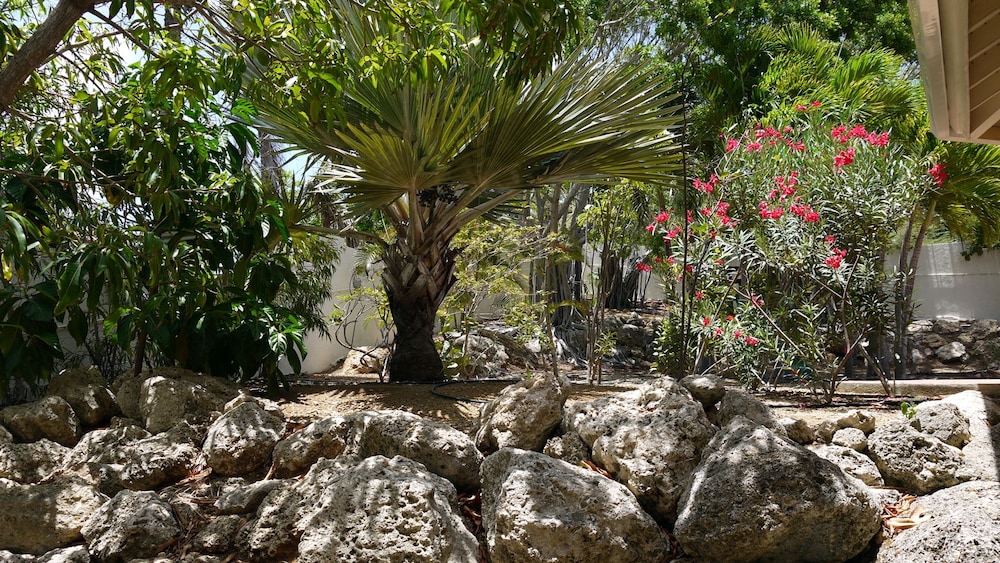 Villa Carpe Diem Curacao