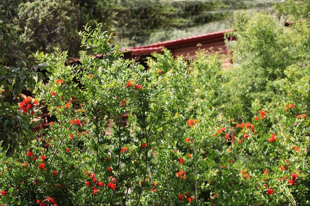 Kas Dogapark Otel - Image 72