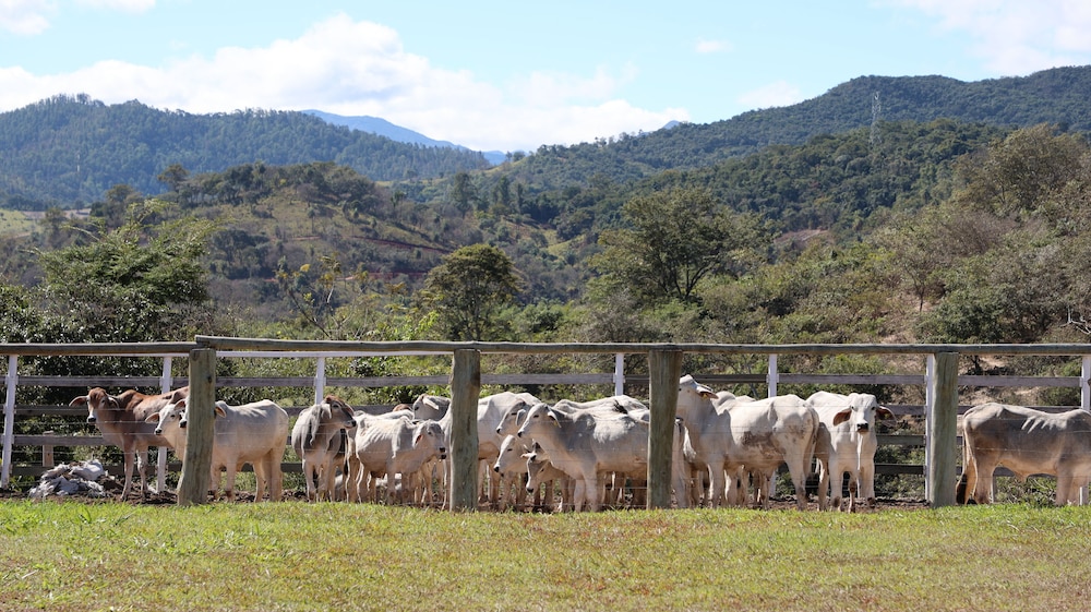 Rancho Topo da Montanha - Nova União MG