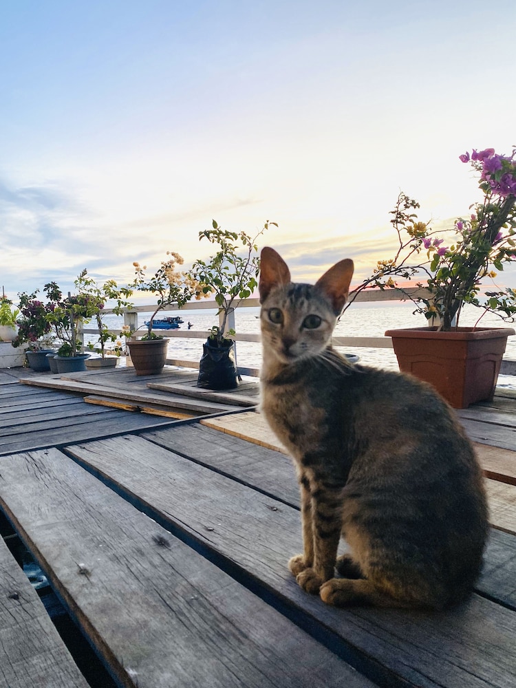 Amina Holidays